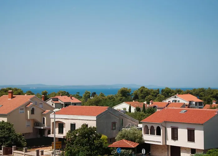 Domus Albus Apartment